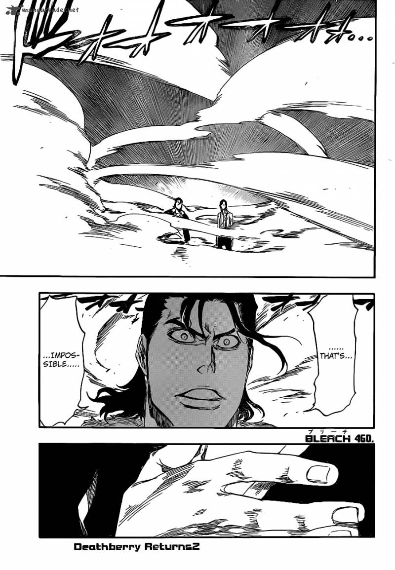 Bleach 460 4