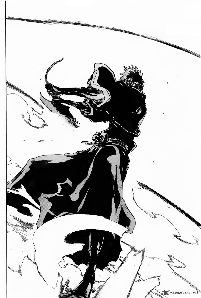 Bleach 461 6
