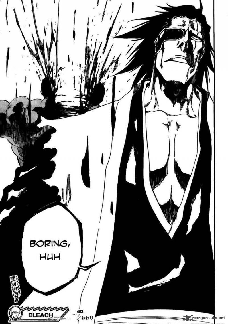 Bleach 463 17