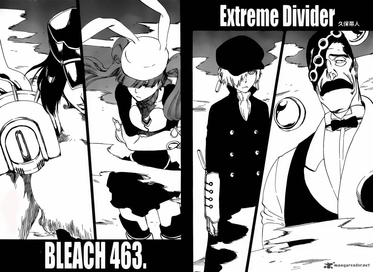 Bleach 463 2