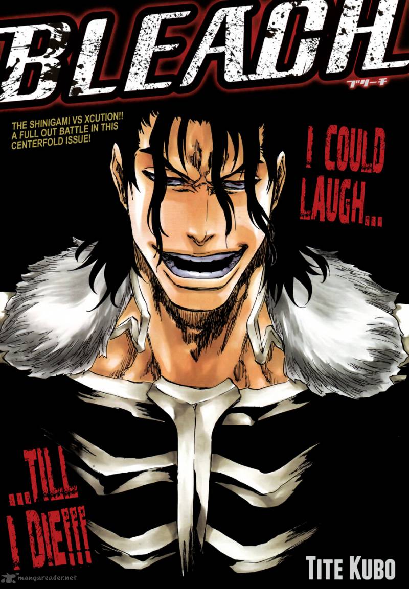 Bleach 465 1