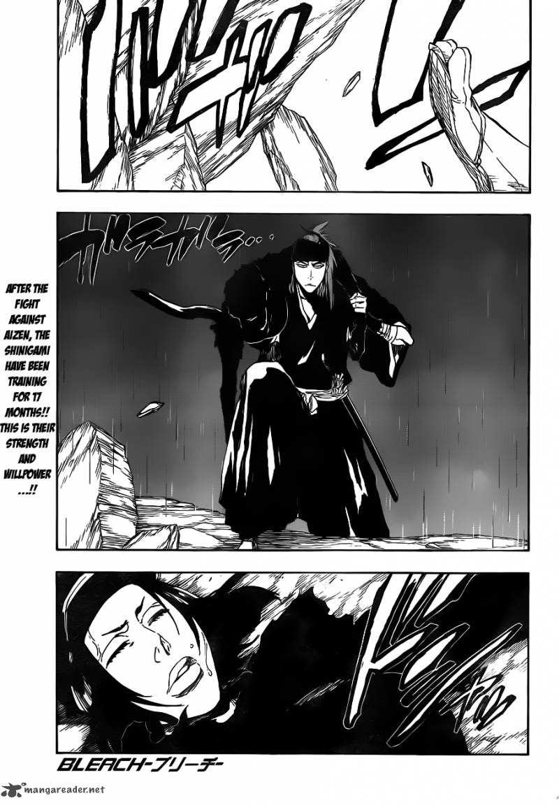 Bleach 466 1