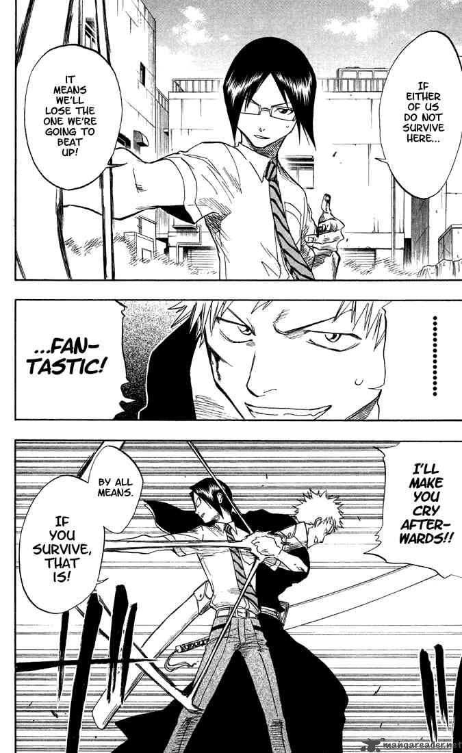 Bleach 47 13