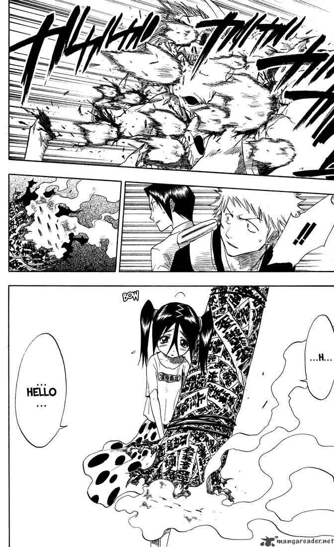 Bleach 47 17