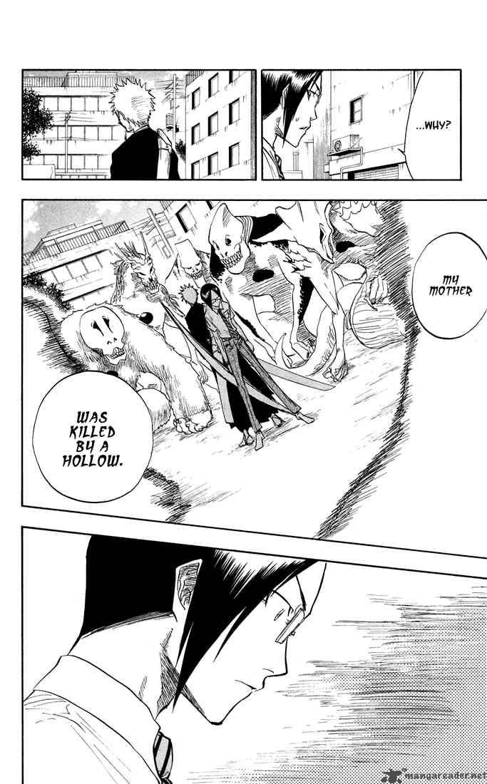 Bleach 47 7