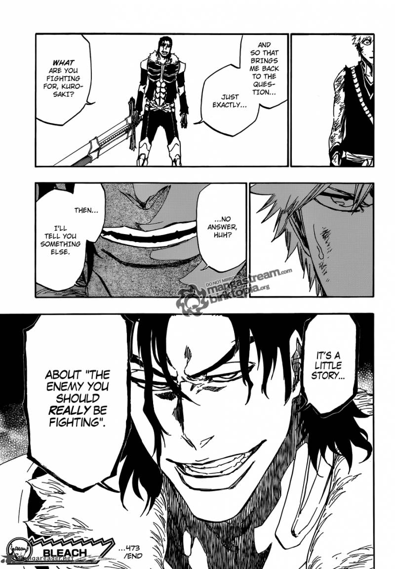 Bleach 473 19