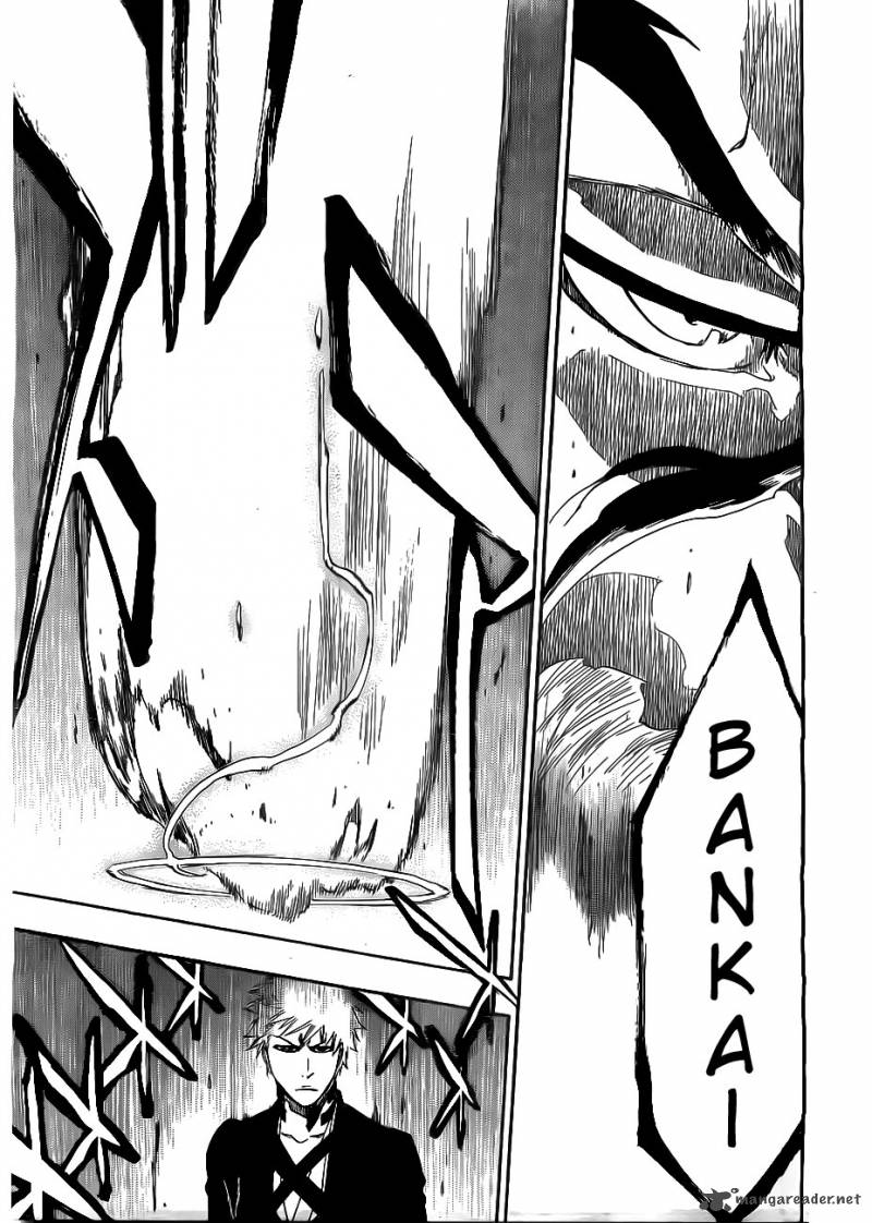 Bleach 475 16