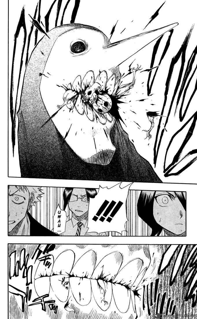 Bleach 48 11