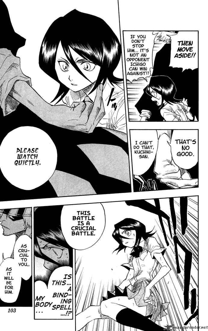 Bleach 48 14