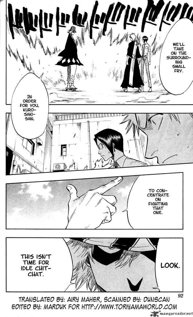 Bleach 48 4