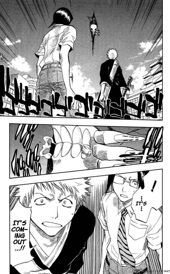 Bleach 48 5