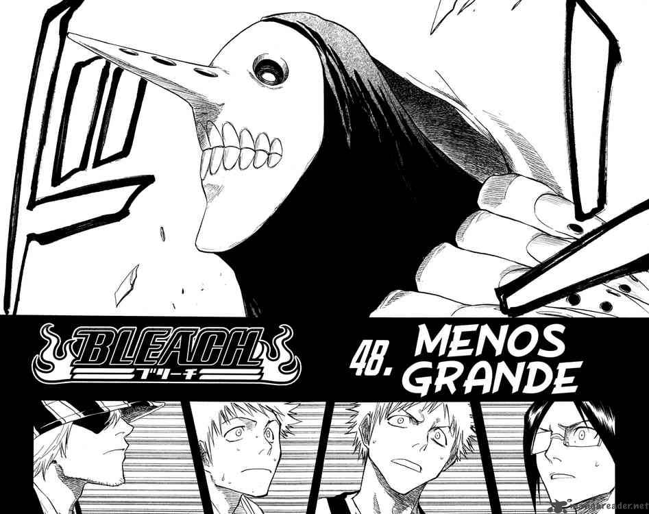 Bleach 48 6