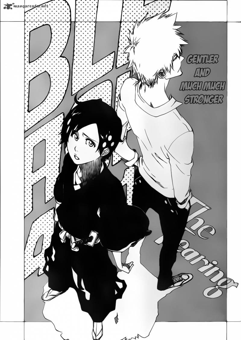Bleach 481 3