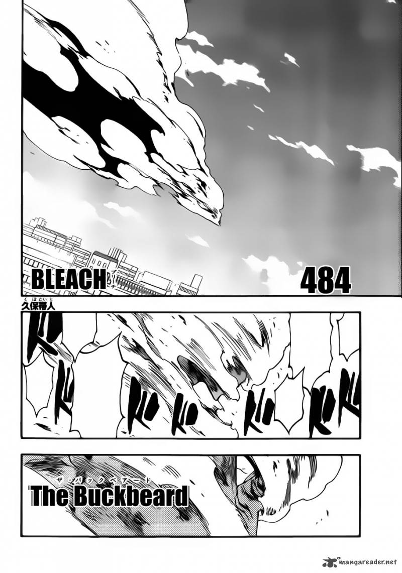 Bleach 484 8