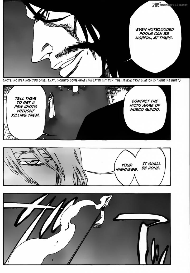 Bleach 486 16