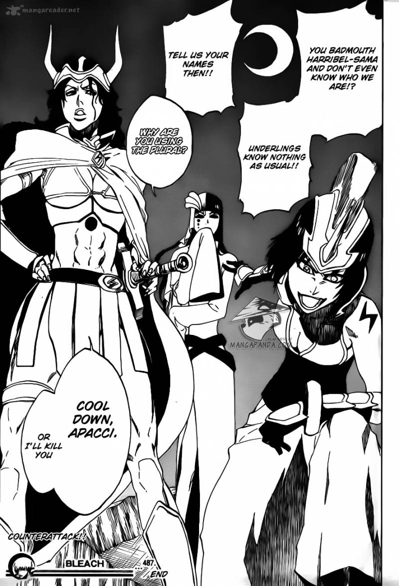 Bleach 487 19