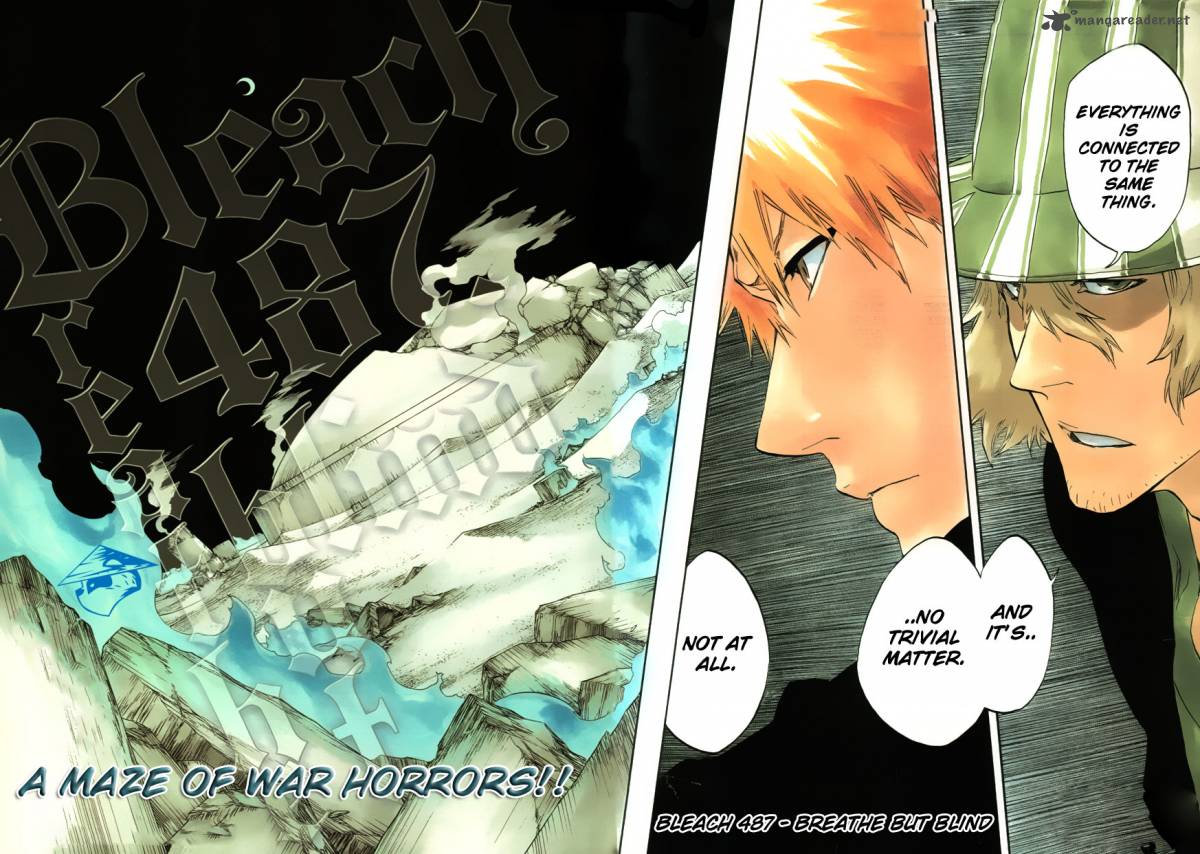 Bleach 487 2