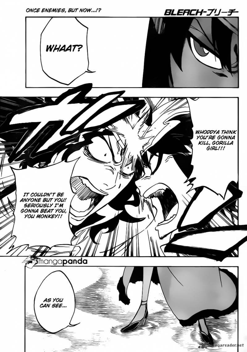 Bleach 488 1