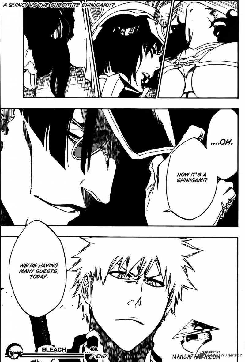 Bleach 488 17