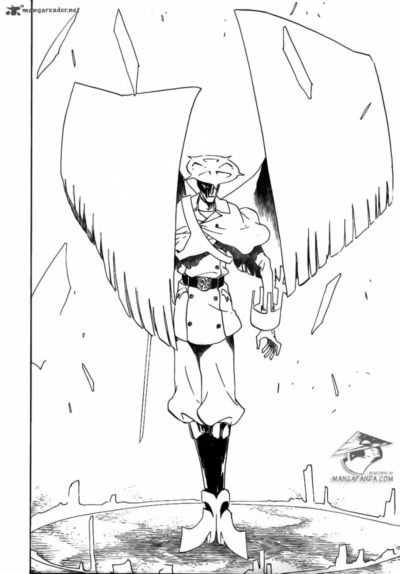 Bleach 490 13