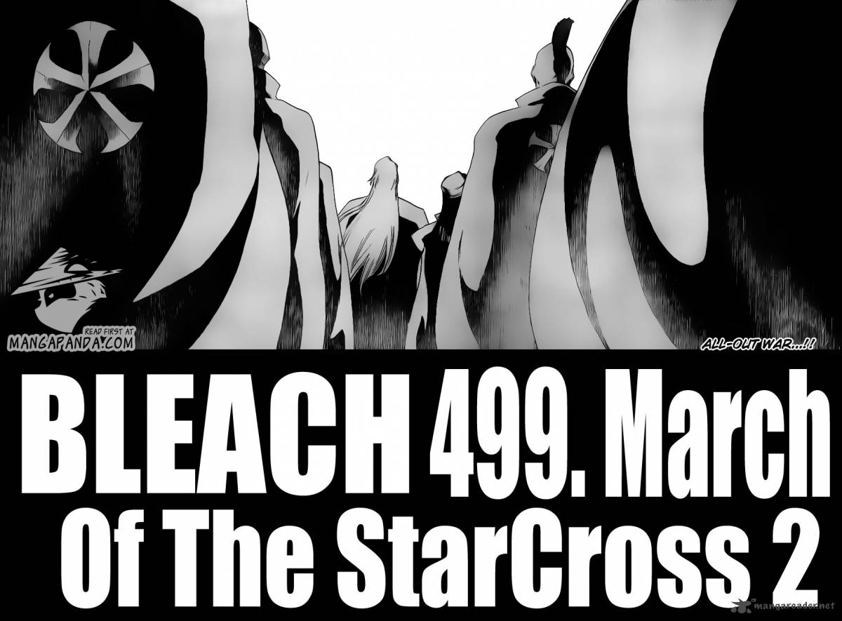 Bleach 490 2