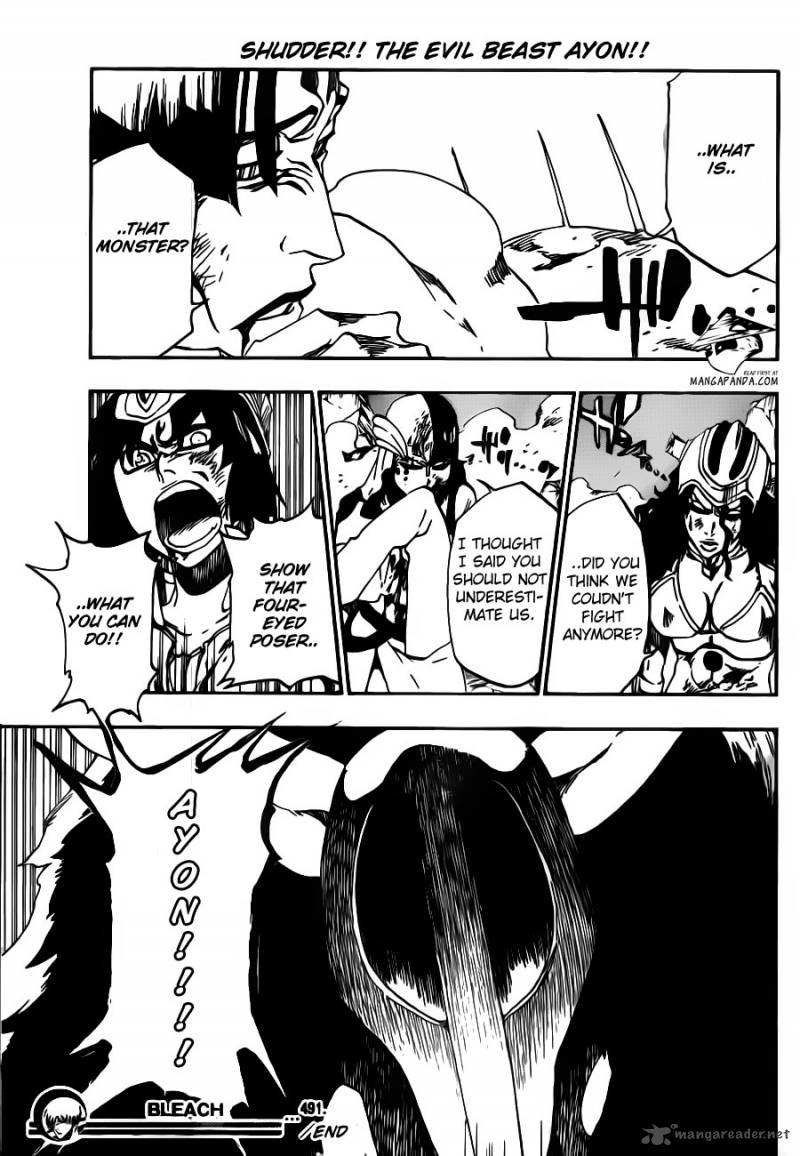 Bleach 491 17