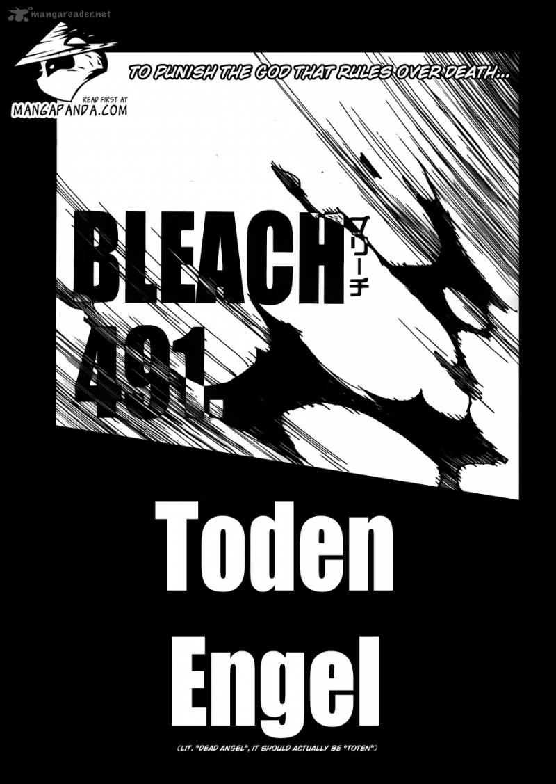 Bleach 491 3
