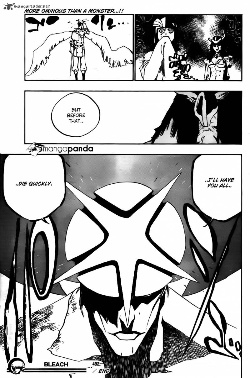 Bleach 492 17