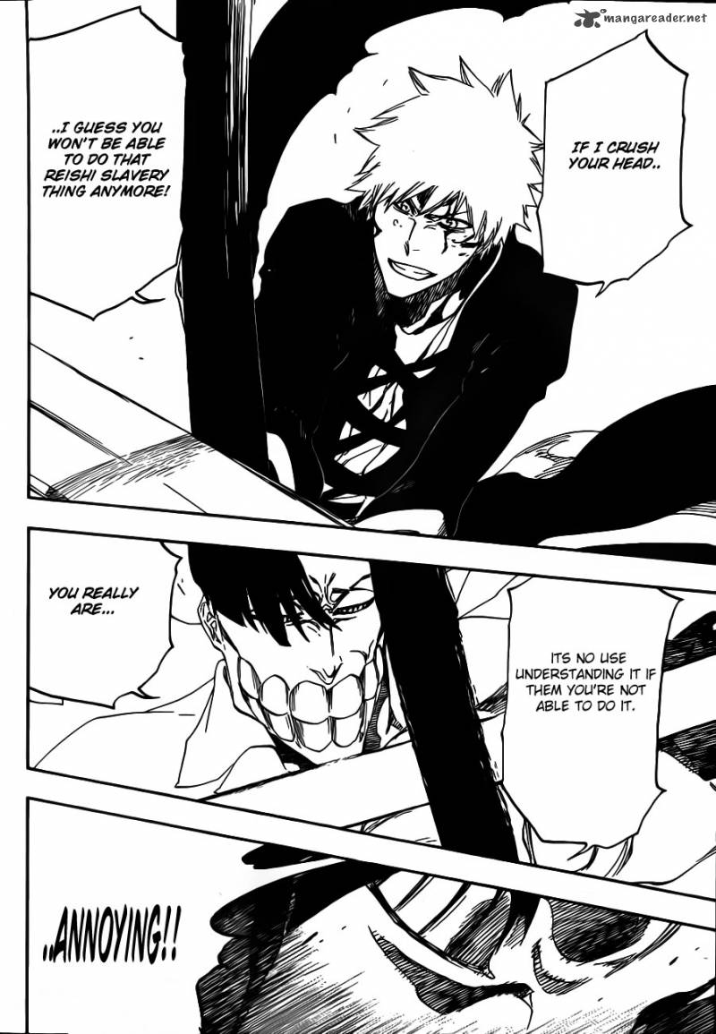 Bleach 493 14
