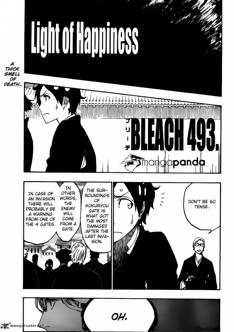 Bleach 493 15