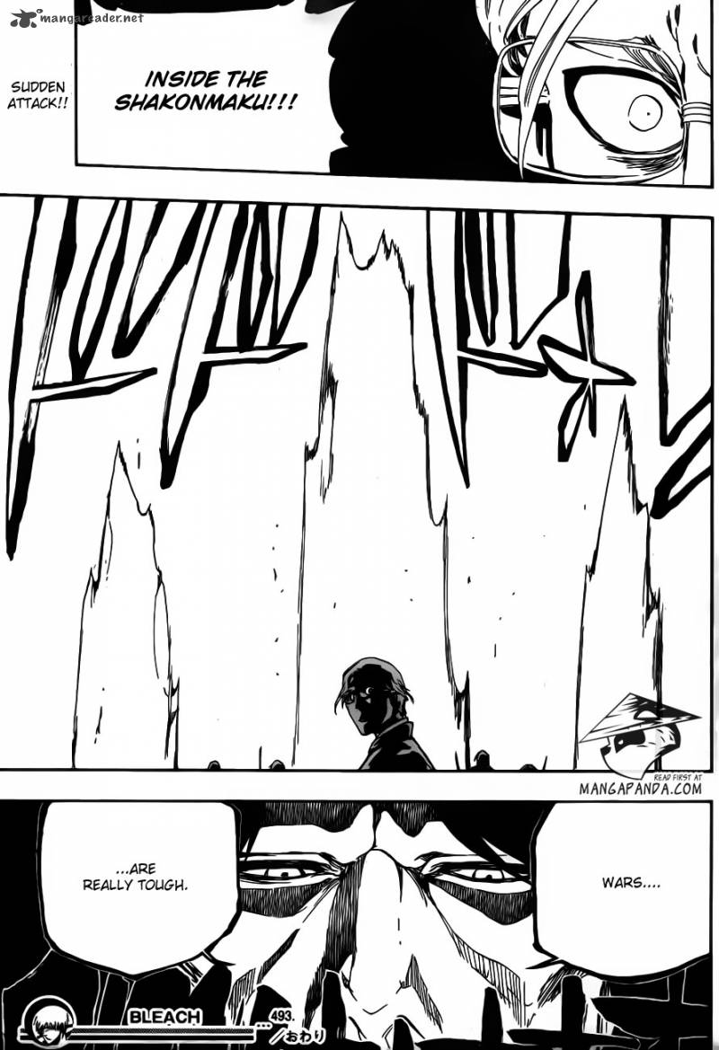 Bleach 493 17