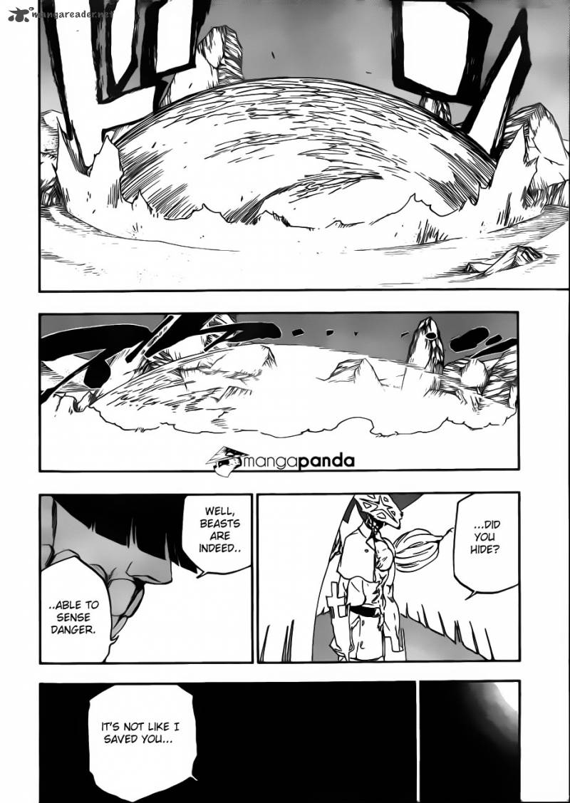 Bleach 493 8