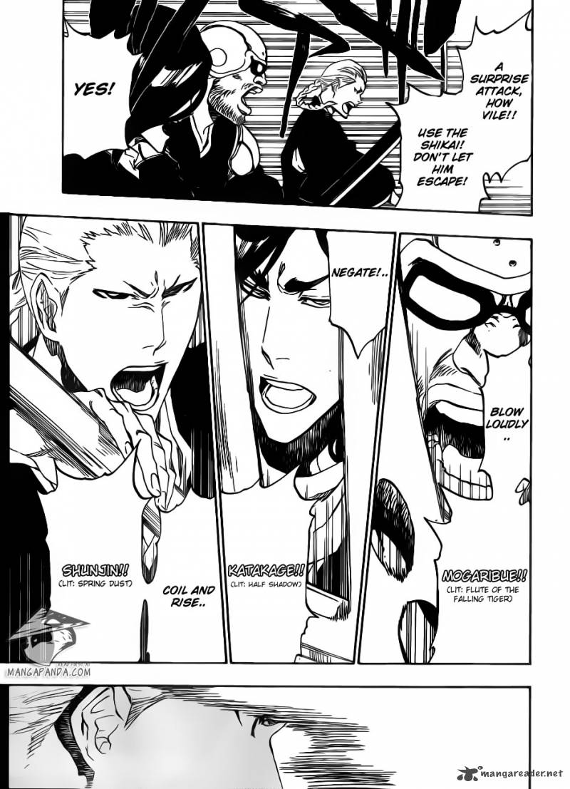 Bleach 494 13
