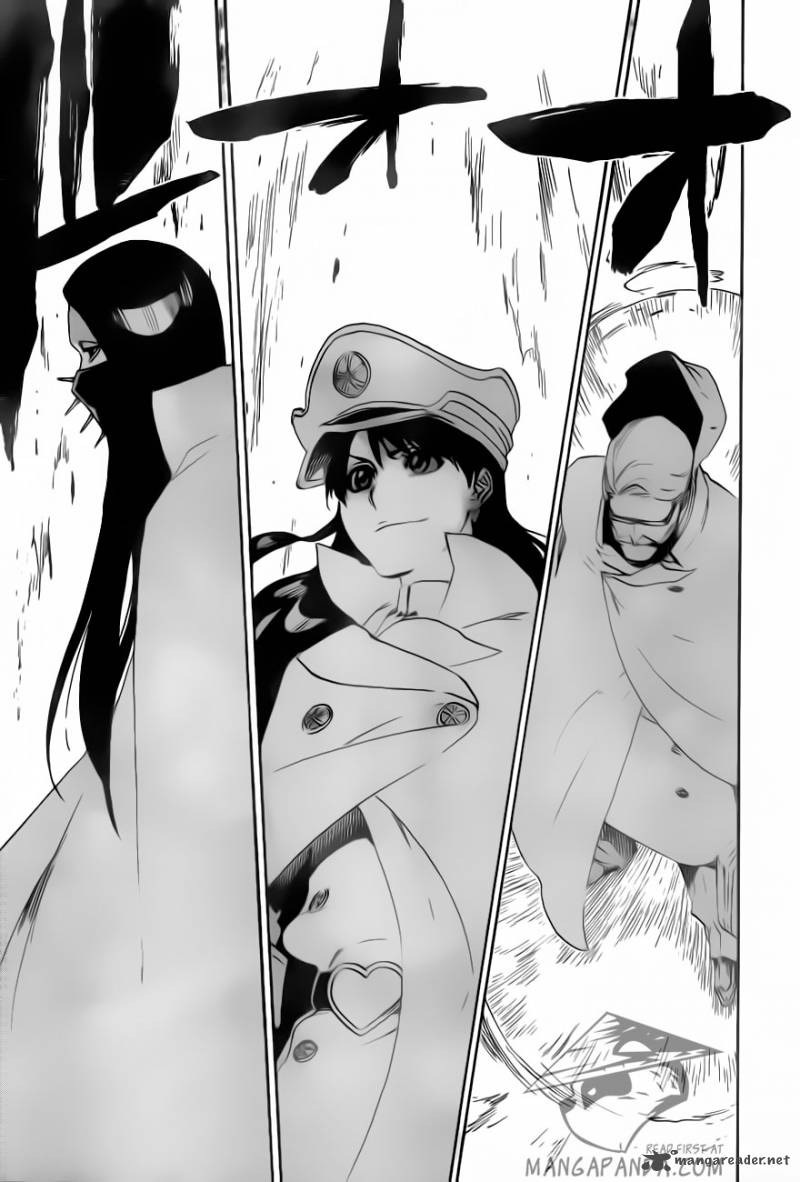 Bleach 494 17