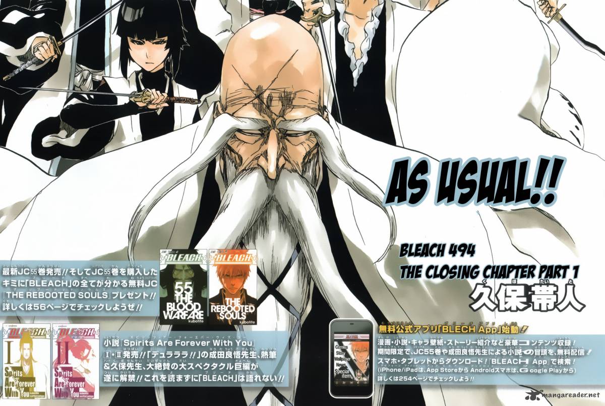 Bleach 494 2