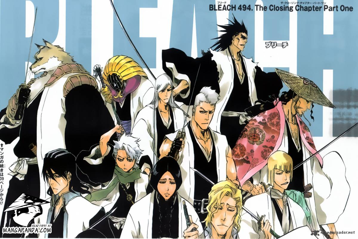 Bleach 494 3