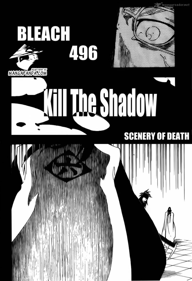Bleach 496 4
