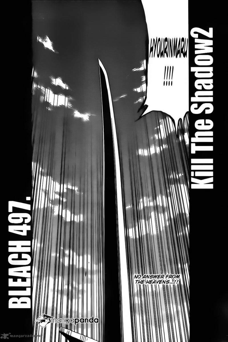 Bleach 497 4