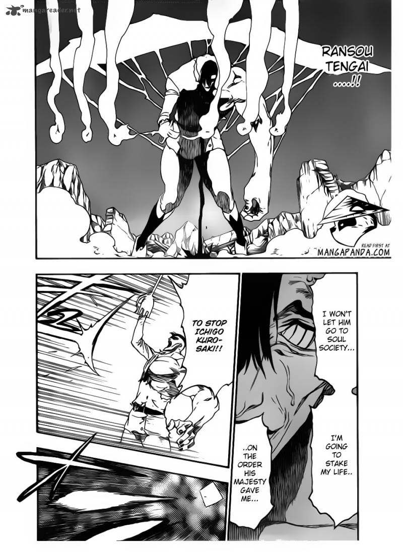 Bleach 499 14