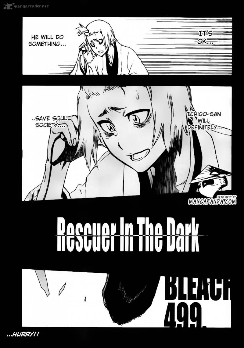 Bleach 499 3