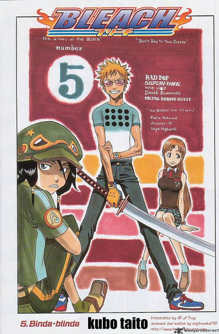 Bleach 5 2
