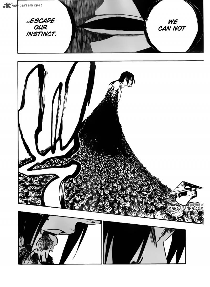 Bleach 501 14