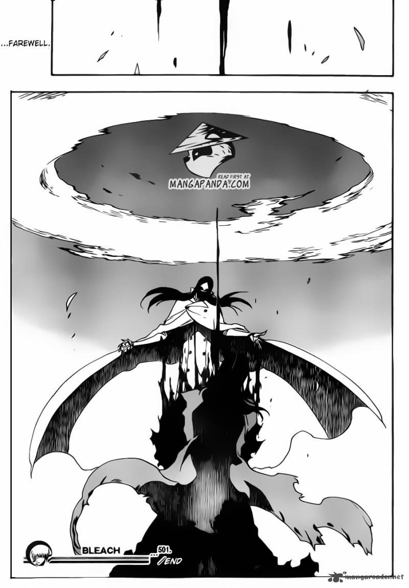 Bleach 501 17