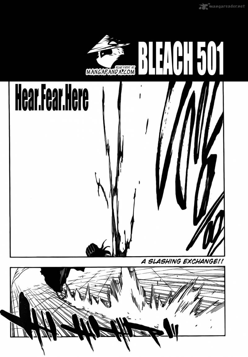 Bleach 501 4