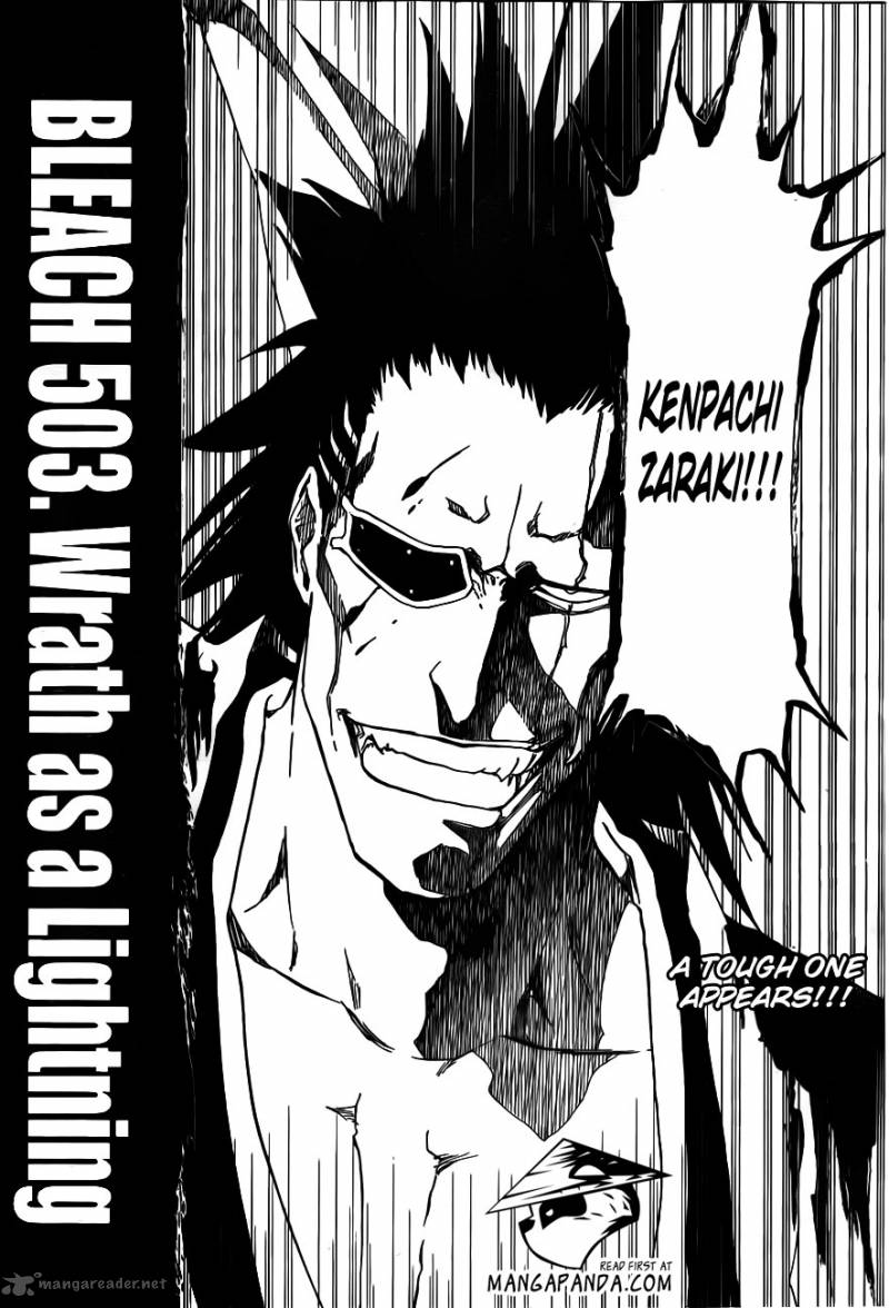 Bleach 503 2