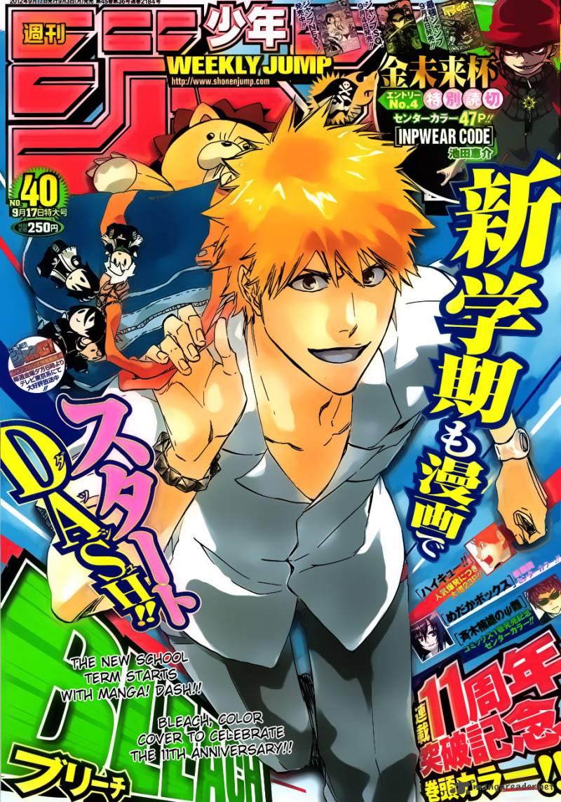 Bleach 505 2
