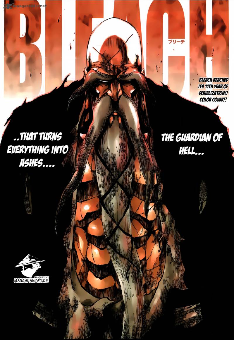 Bleach 505 4
