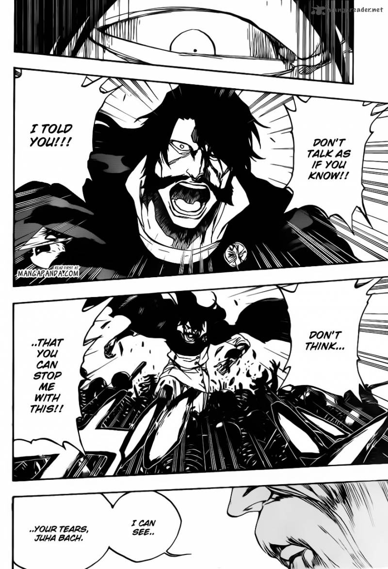 Bleach 509 13