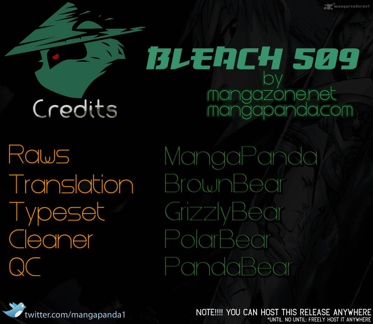 Bleach 509 20