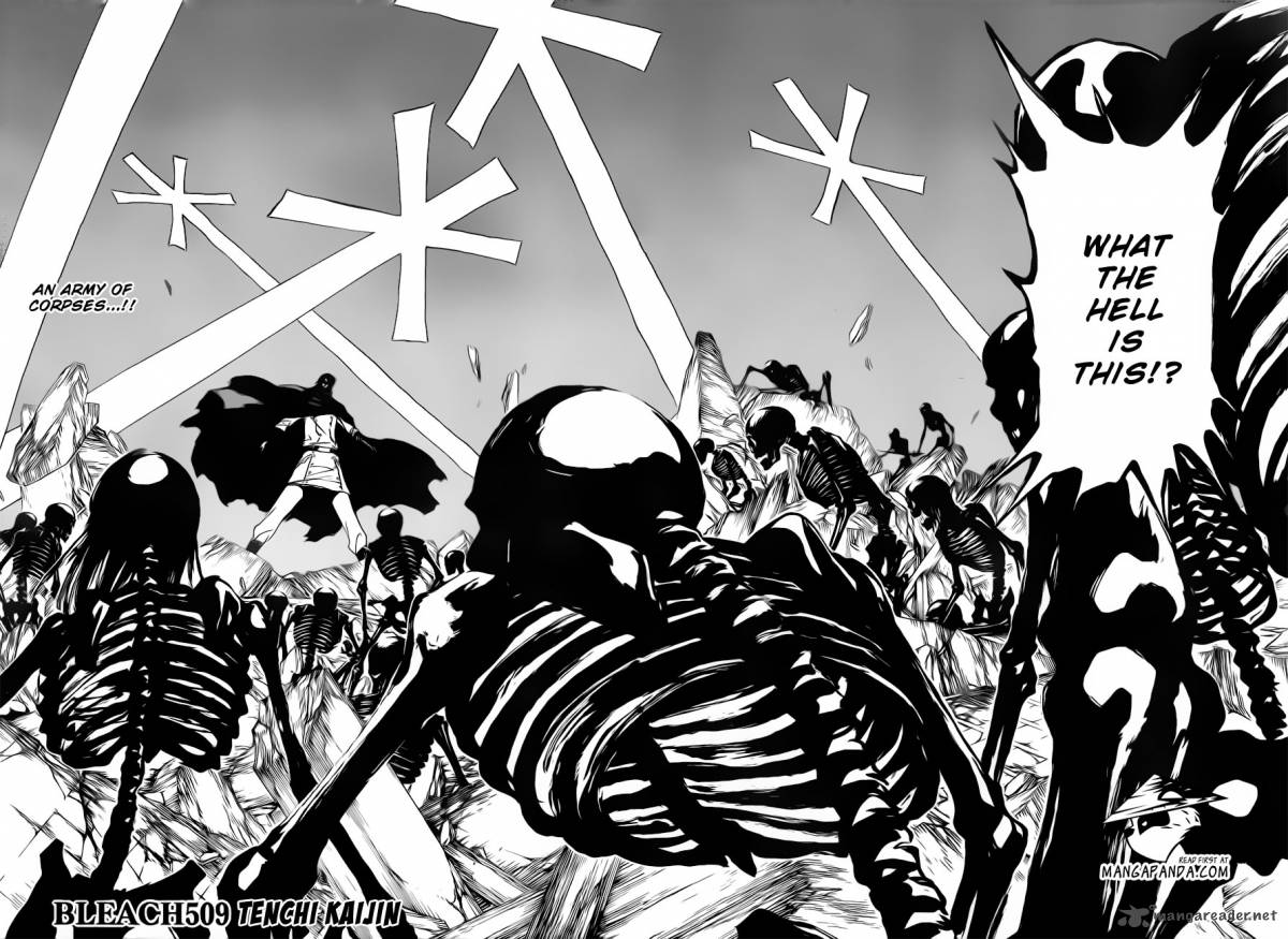 Bleach 509 4